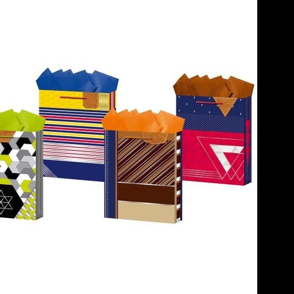 BOLSA CH. CABALLERO DIPAK PZA